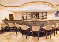 Alba Hotel Meru - bar