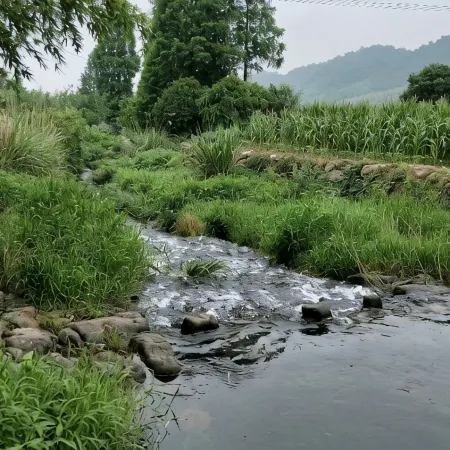 Liyang Bamboo Sea Yun Inn