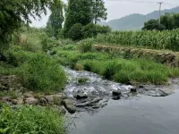 Liyang Bamboo Sea Yun Inn