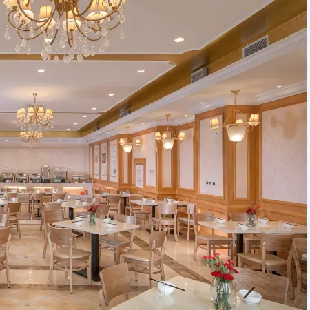 Vienna Hotel (Xinning Langshan)