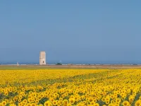 La Floristería Zahora Hotel di Barbate