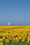 La Floristería Zahora