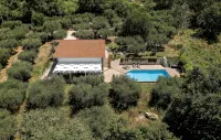 Cozy villa with pool nestled among the ancient olive trees of Cilento - Villas