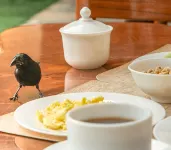 Hostal España - Breakfast