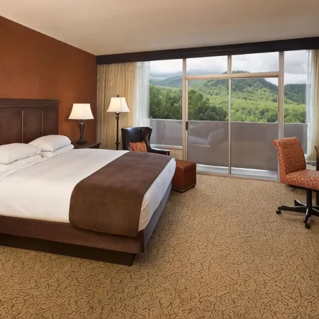 The Park Vista - a DoubleTree by Hilton Hotel - Gatlinburg