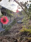 Country family cottage on our farm - Landsted