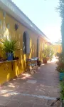 Comfortable apartment and swimming pool in the shade of the pine forest of Chipiona