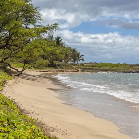 Luxury Condo- Across The Street From The Beach!  Free WIFI