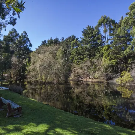 Escape to Valley View Nature Retreat – A Hidden Sanctuary in Apollo Bay