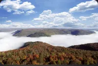 Deluxe Cabin A at Elk Creek Escape