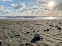 Pacific Dreams Beach House- Beach front! Gorgeous views! Meticulously sanitized! - 3-Star