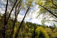 Cabin - Rustic Glam + Game Room + Views +Workspace- Minutes from Attractions - Hytter