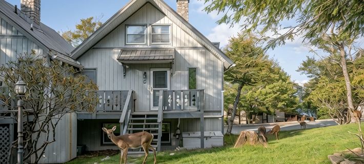 Cozy Beech Mountain getaway for the whole family Hotele w: Beech Mountain