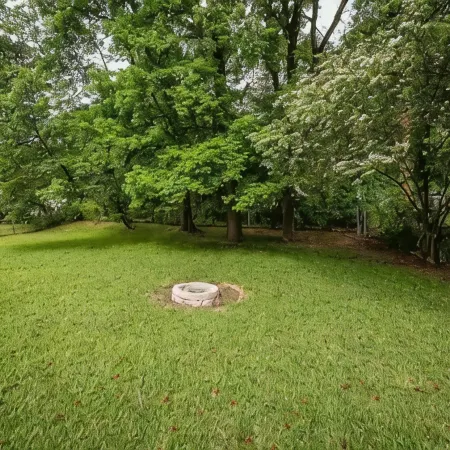 Cheerful 3 BR 1.5 BA Home in Great Neighborhood! Recently Renovated!