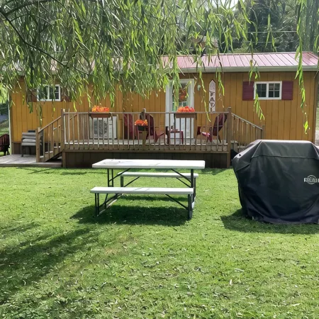 Charming 2-bedroom cabin uwith WiFi, AC in amazing McCarr