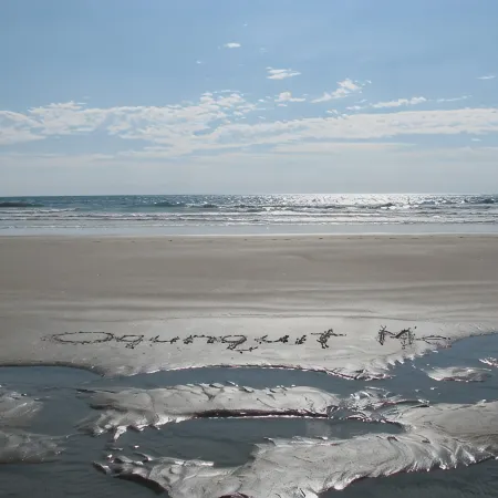 Classic Maine Beach Cottage - In the Heart of Ogt. Village , Walk to everything