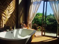 Forest Nature Spa - Guest houses