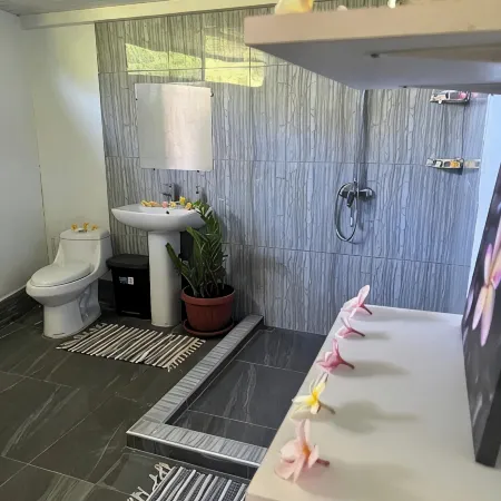 DEANE HOUSE Large, fully-equipped studio located in the city center. Отели в г. Бора-Бора