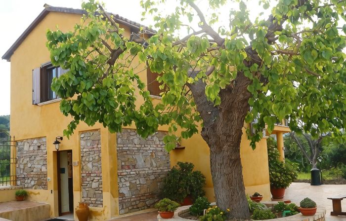 agriturismo al grande gelso