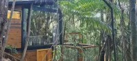 Tree House - Homestays