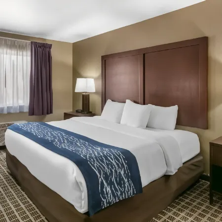 Comfort Inn Fort Collins North