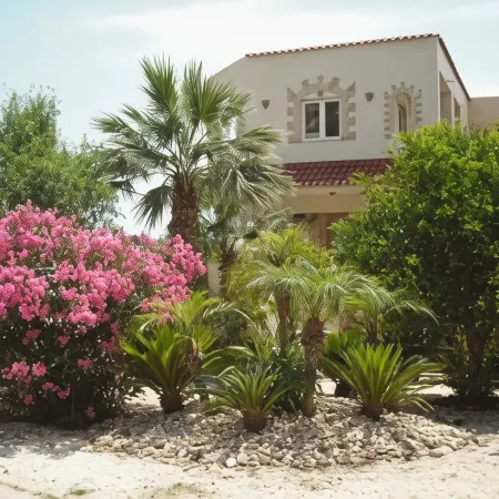 Summer Memories Aparthotel