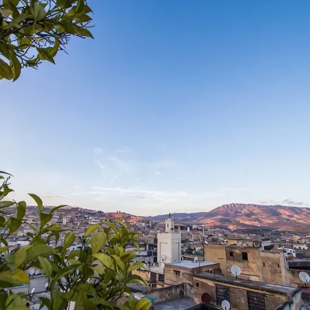 Riad Ibn Khaldoun