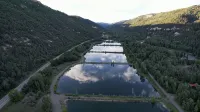 The Call of the Water - Private luxury cabin on river in San Juan Nat Forest!