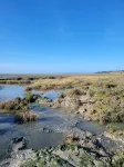 Family house in the countryside, 4/6/10persMi Baie de Somme and Amiens path.3⭐ - 4 ดาว