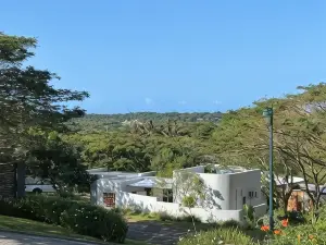 The Mod Pod Studio