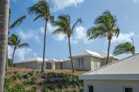 Beautiful 7.7 acre estate with a huge home and stunning views of the Caribbean - プール