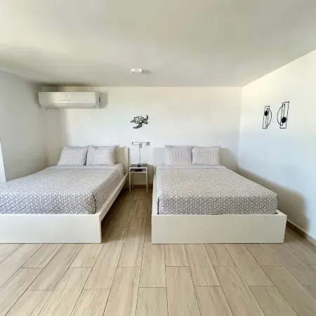 Beach Studio Isla Verde-Sea Dollar #3