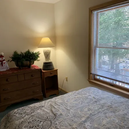 Hottub, Sauna, Deck, Backyard, Hi-Speed Internet Hotels in Hunter
