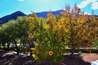 The Heart of Manitou Springs. Award-winning. Luxurious. Romantic. 2nd Floor West - WiFi