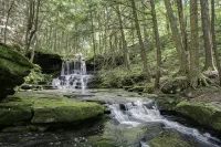 Secluded modern log cabin with picturesque private water fall on 12 acres! - 샬레 호텔