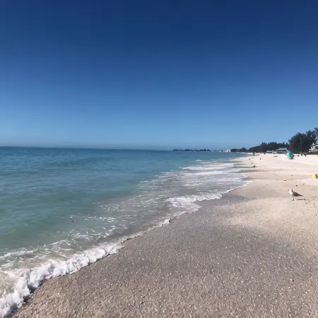 Fall in Love! Gorgeous, Colorful Pool Home Mins from Anna Maria! Pet Friendly!