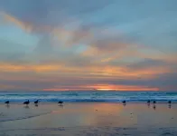 NEW!   Beach Front Coastal Living - Strand