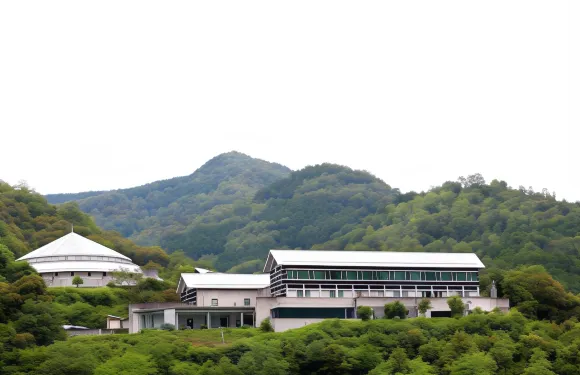 星羅四萬十酒店