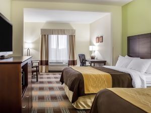 Comfort Inn Lexington South