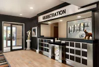 Super 8 by Wyndham Akron S/Green/Uniontown Oh Hotels in Green