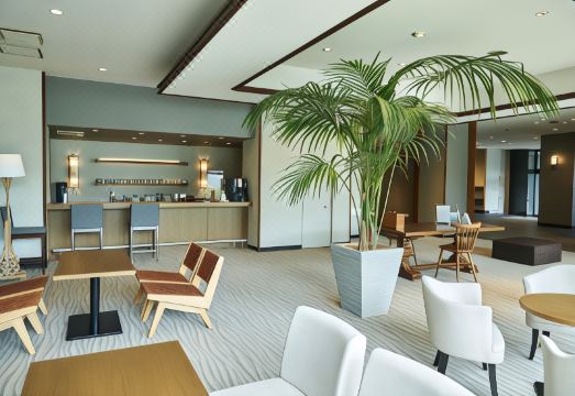 4. 신 카이카테이 ..