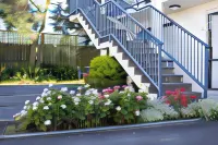 Asure Phoenix Motor Inn - Pet friendly