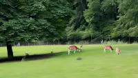 Waldhotel Felsenkeller Hotels in Bad Rothenfelde