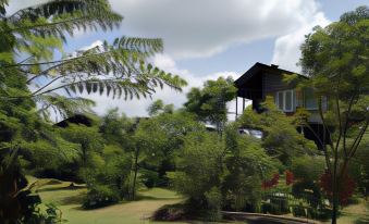 Sigiri Forest View