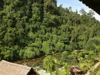 Riverside Guesthouse and Treks