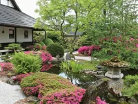 Den Japanske Have B & B Hotels in Herning