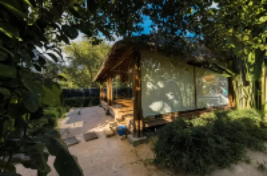 Boutique Surf Hotel Rip Jack Inn Hotels in 