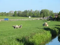 B&B depolderschuur is an independent home Tienhoven 호텔