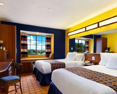 Microtel Inn & Suites by Wyndham New Braunfels Hotels in New Braunfels