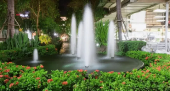 Oldie and Sleepy Hostel